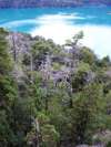 Bosque junto al Lago Mascardi [Vista desde el mirador frente a la Isla Piuke Huapi]