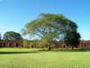 Ruinas de San Ignacio Mini (Misiones)