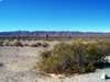 Parque Nacional Los cardones (Salta)