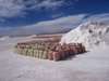 Salinas Grandes (Jujuy)