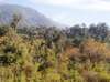 De Tucumán a Cafayate: De la selva a la aridez