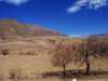 De Tucumán a Cafayate: De la selva a la aridez